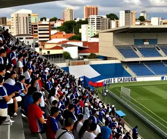 Descubra a Tradição e História do Treze Futebol Clube em Campina Grande Descubra a Tradição e História do Treze Futebol Clube em Campina Grande