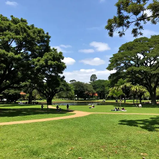 Explore a Área Verde