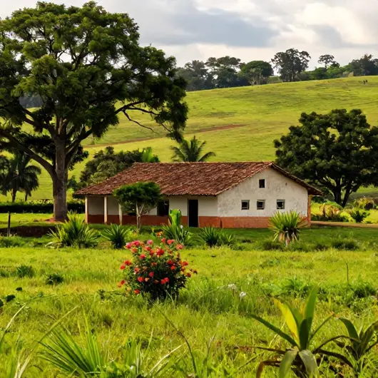 Fazenda Santana: Um Destino Imperdível em Campina Grande Fazenda Santana: Um Destino Imperdível em Campina Grande