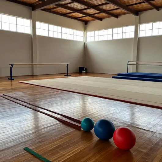 Ginástica Rítmica Ginástica Rítmica