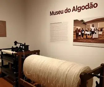 Museu do Algodão: A História e Cultura do Algodão em Campina Grande